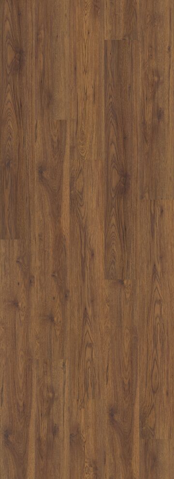 Midway Oak