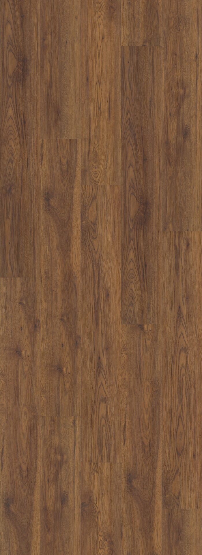Midway Oak