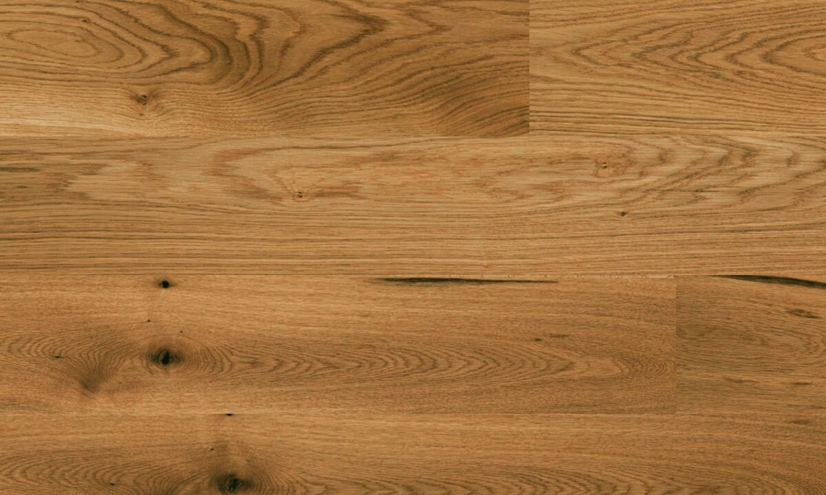 Fuzion Outer Banks Clic - Canyon