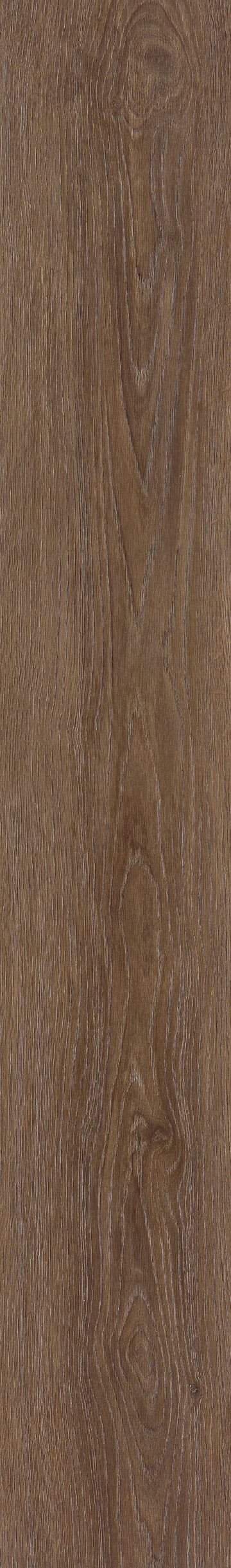 Mulford Oak