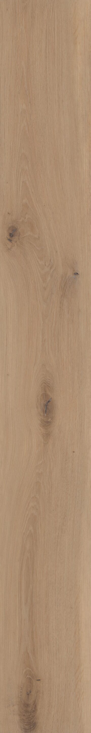 Blonde Oak