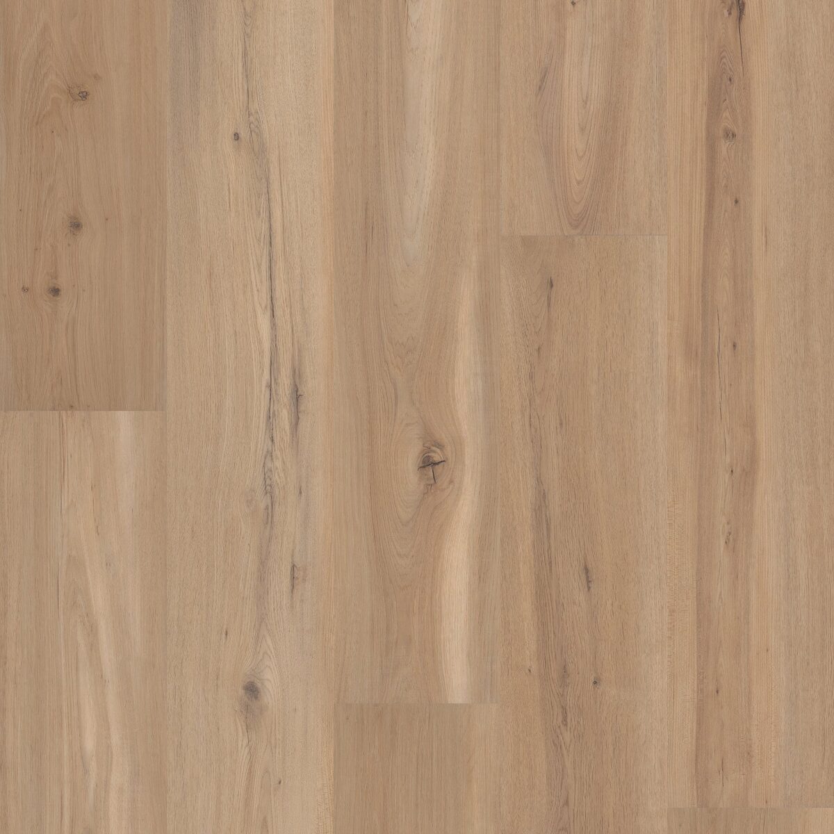 Blonde Oak