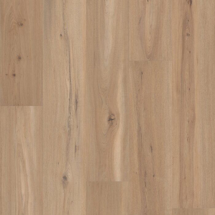 Blonde Oak