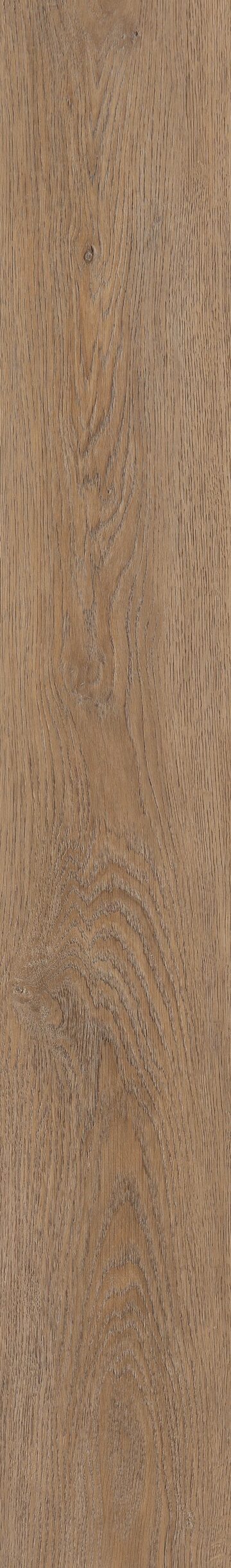 Brixton Oak