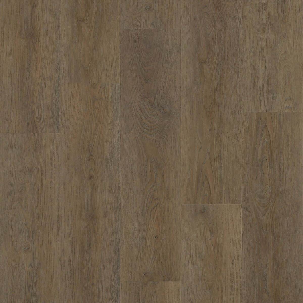 Brixton Oak