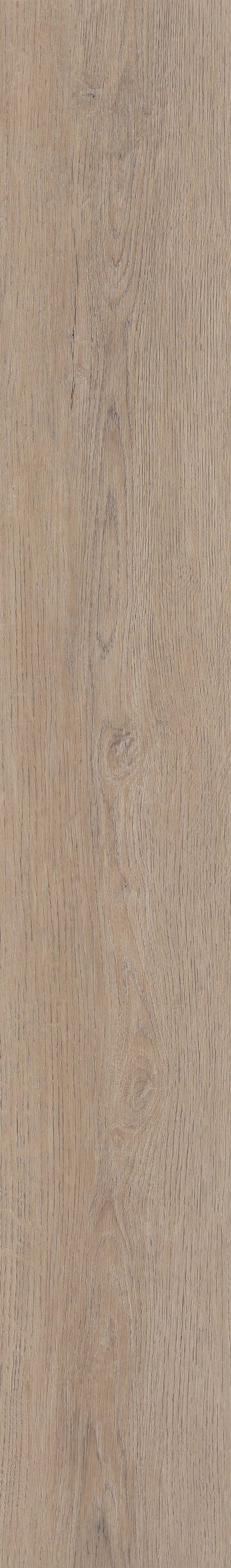 Foxbury Oak