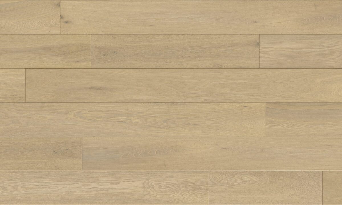 Fuzion Canvas - Moderna