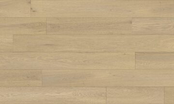 Fuzion Canvas - Moderna