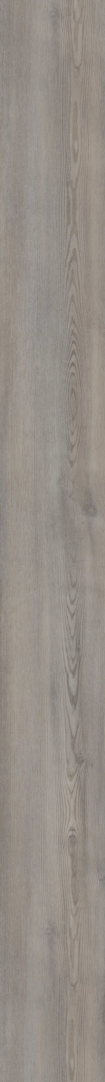 Bravado Pine