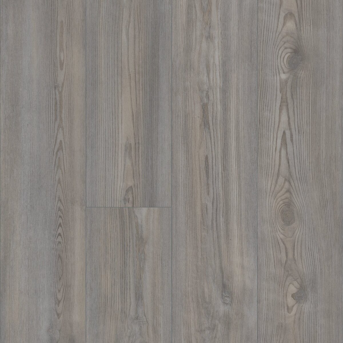 Bravado Pine