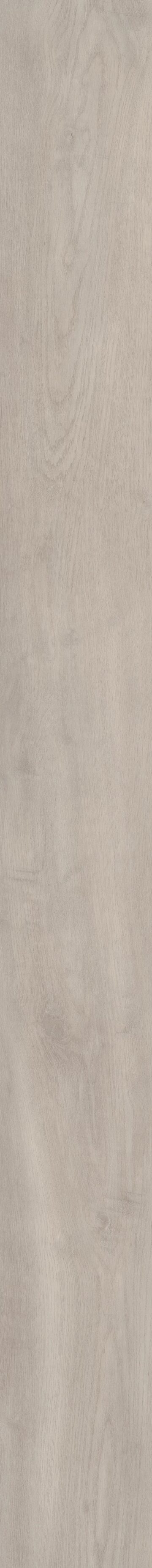 Spirit Oak