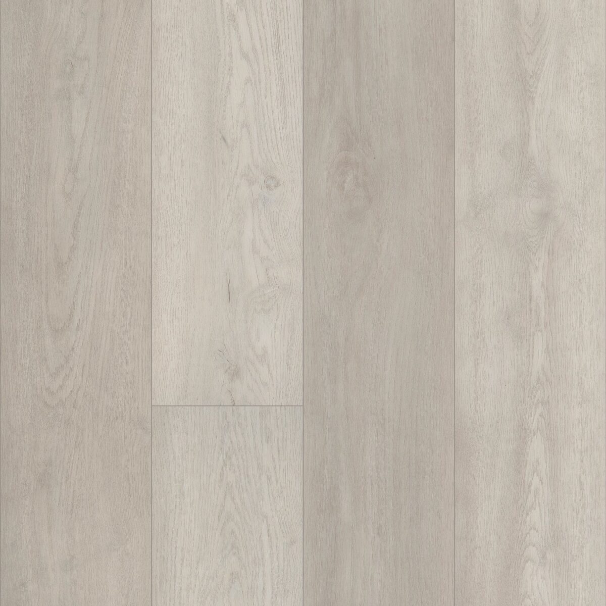 Spirit Oak