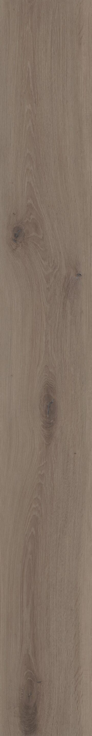 Mist Oak