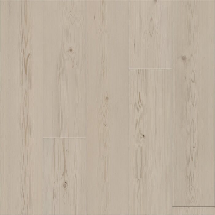 Cloud Pine