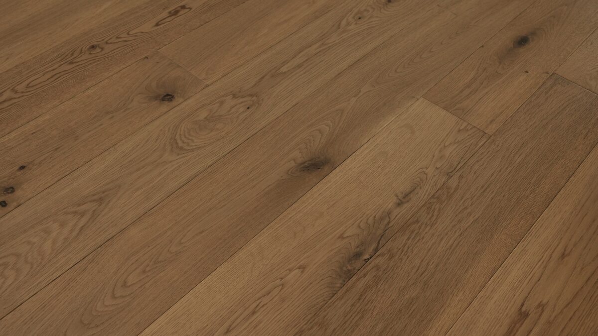 Grandeur Evergreen- Elm