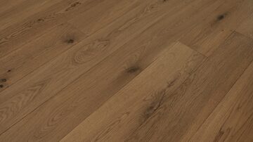 Grandeur Evergreen- Elm