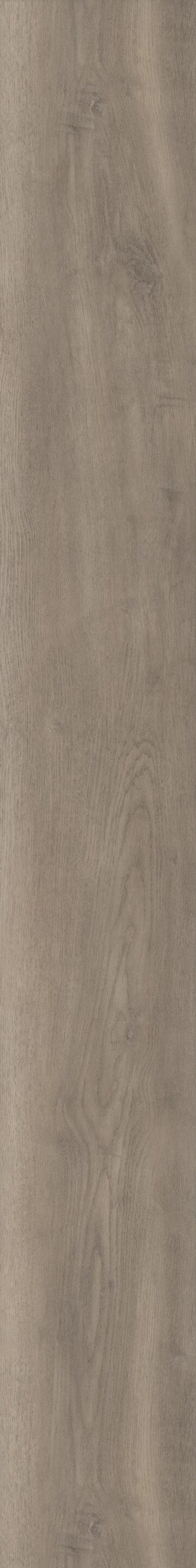 Leisure Oak