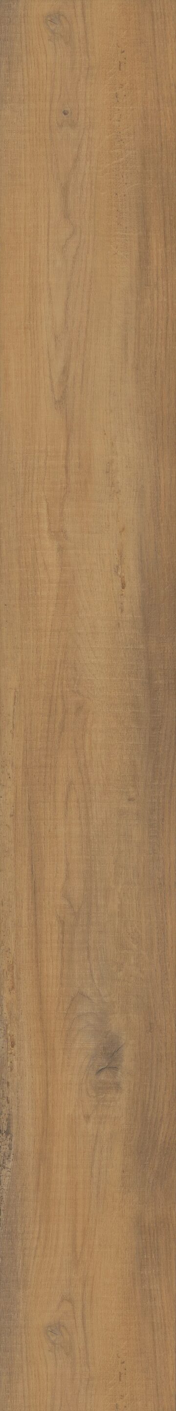 Virtue Oak