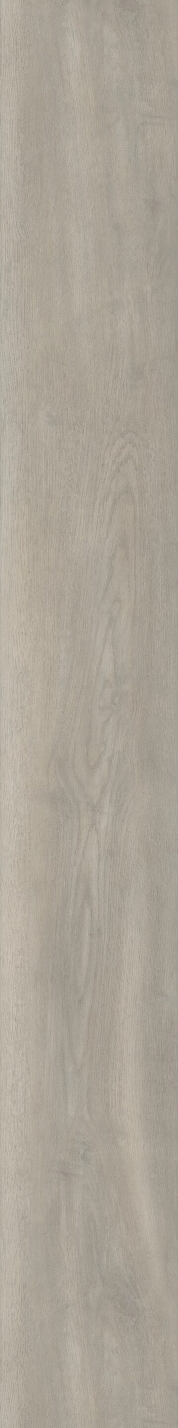 Opulence Oak