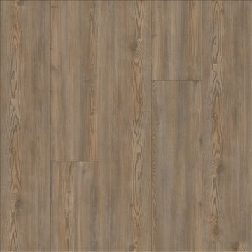 Treasure Pine