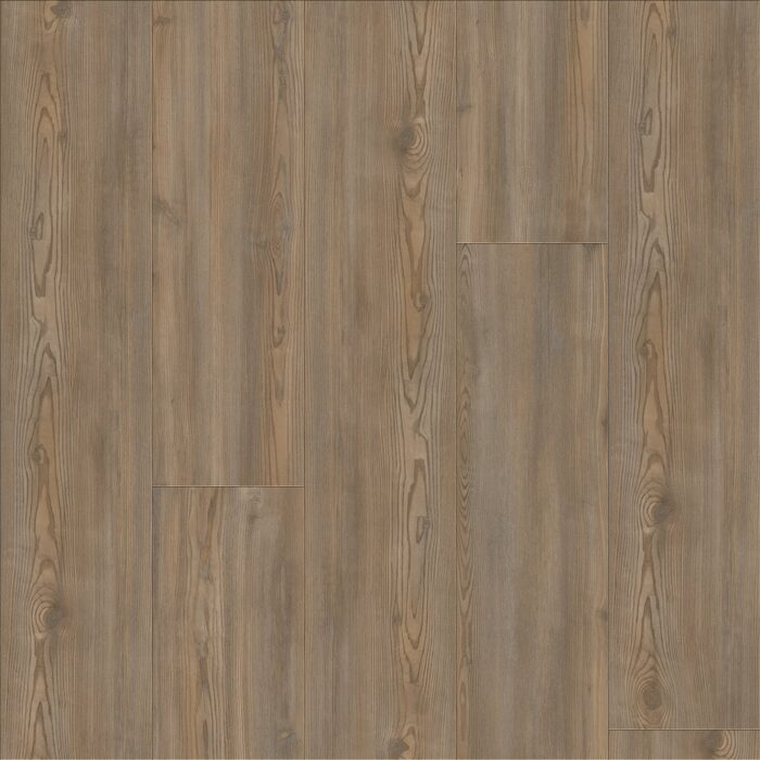 Treasure Pine