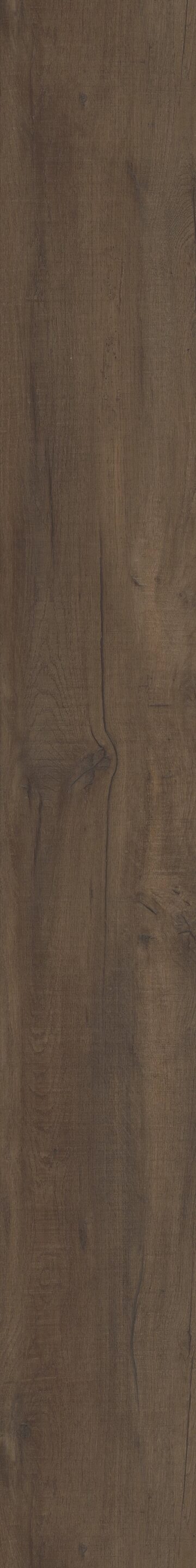 Pride Oak
