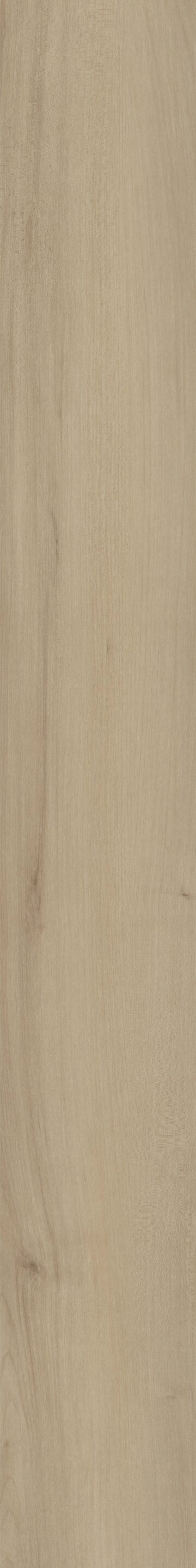 Woodbury Maple