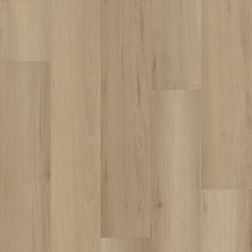 Woodbury Maple