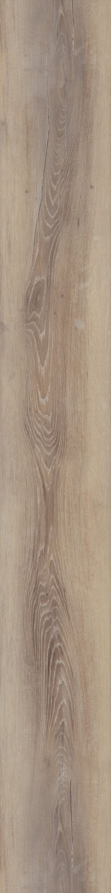 Ezra Oak
