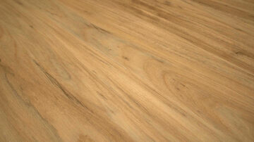 Grandeur Timeless - Acacia DW3230