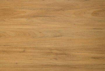 Grandeur Timeless - Acacia DW3230