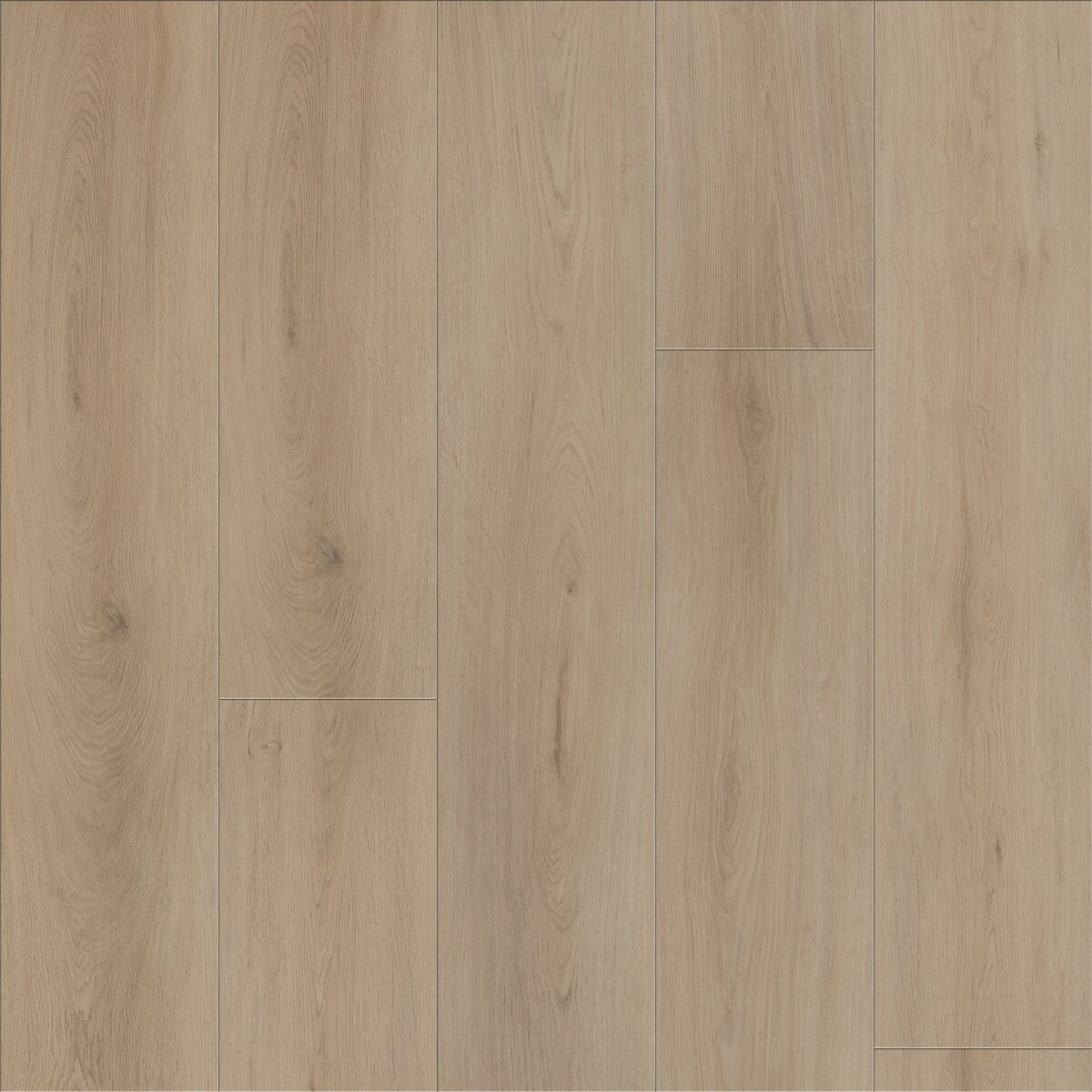 Genova Oak