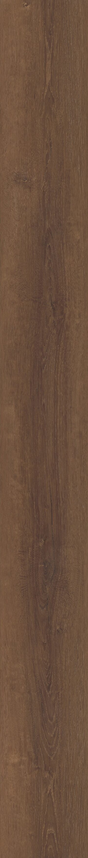 Grande Aleta Oak