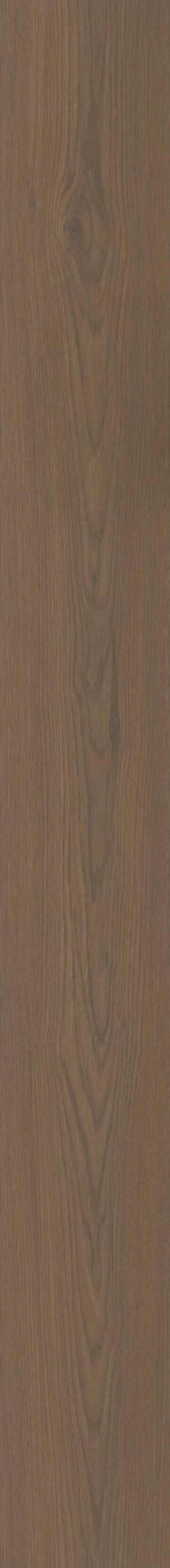 Grande Toasted Mocha Oak