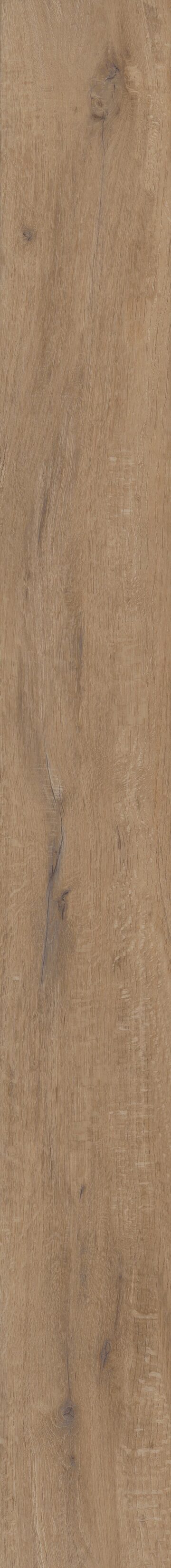 Grande Goldin Oak