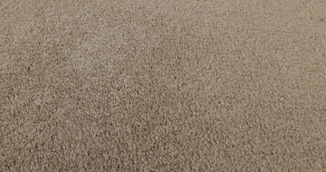 BEAUTIFULLY SIMPLE I 12 - SANDY NOOK
