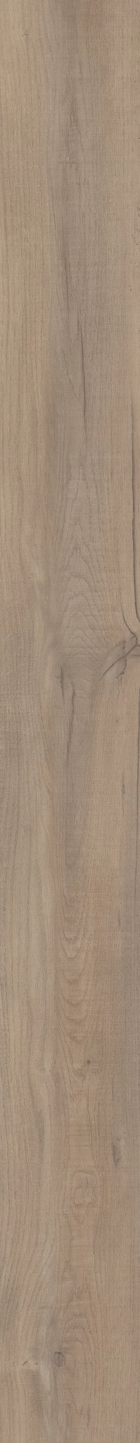 Valor Oak