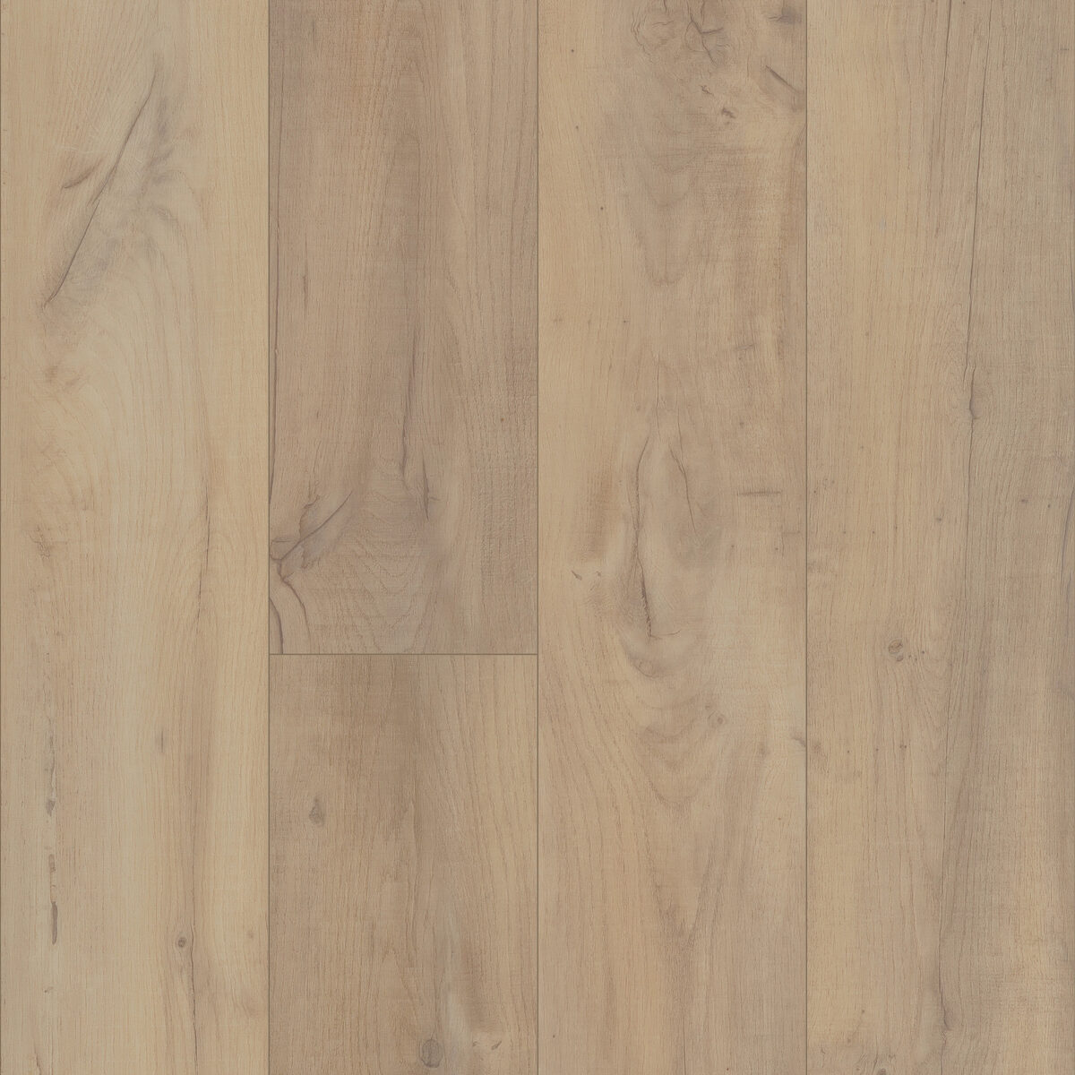 Noble Oak