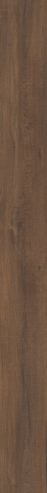 Reserve Oak