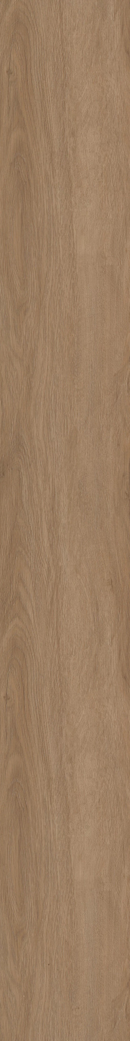 Highlands Oak