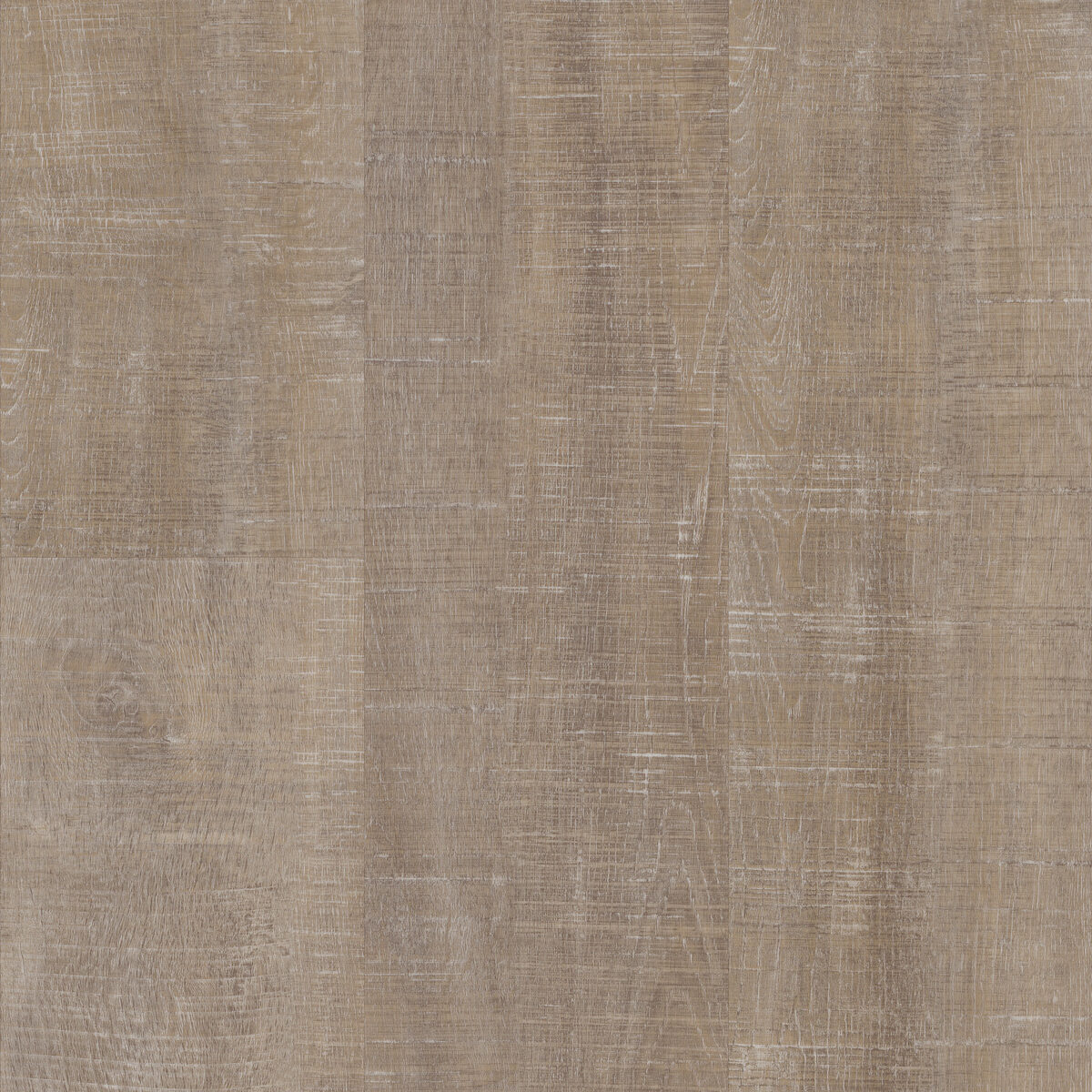 Harbor Oak