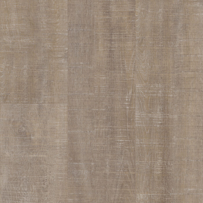 Harbor Oak
