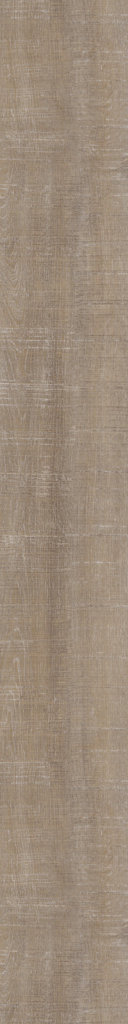 Harbor Oak