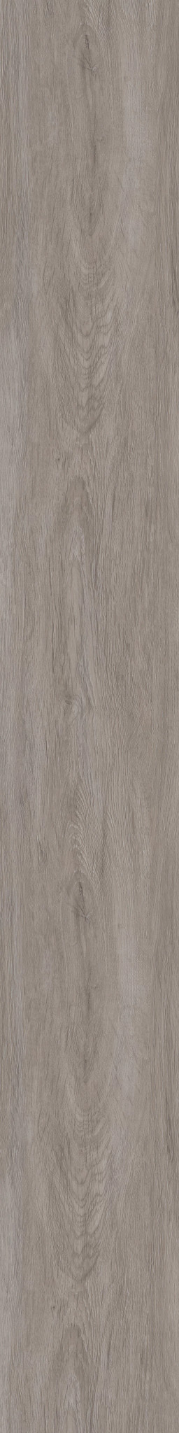 Whittier Oak